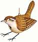 Wren Birdhouse