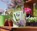 Vintage Spirit Watering Can