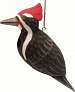 Woodpecker Birdhouse