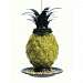 Welcome Pineapple Feeder