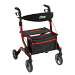 iWalker Euro Style Rollator