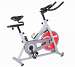 Sunny Health & Fitness SF-B1001S Indoor Cycling Bike - Silver