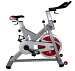 Sunny Health & Fitness SF-B1110S Indoor Cycling Bike - Silver