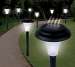 Solar Accent Lights