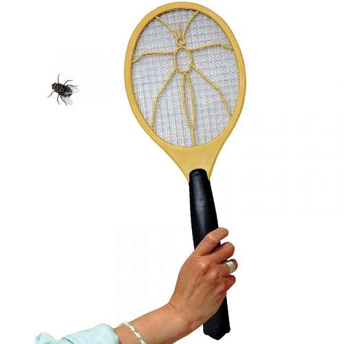 Electronic Bug Zapper