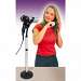Hair Dryer Stand
