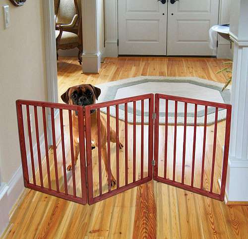 Pet Gate