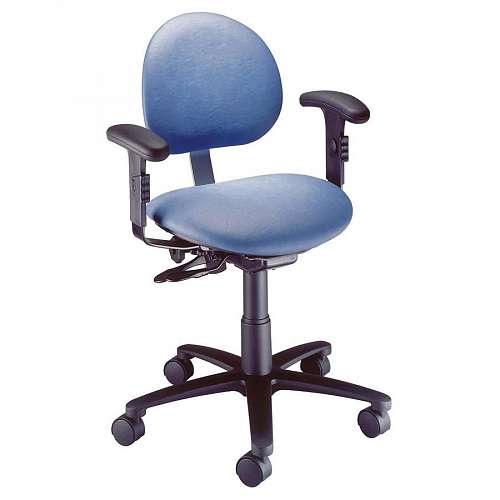 Ergonomic Task Chair