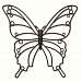 Bella Butterfly Coated Steel Dcor