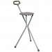 Folding Seat Cane