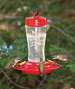 Etched Glass Hummingbird Feeder 12 oz