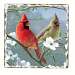 Beautiful Songbirds Tumbled Tile Coasters Set of 4