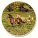 Horses Pasture Coasters Set of 4