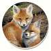 Fox Brothers Coasters Set of 4