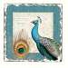 Majestic Beauty Peacock Tumbled Tile Coasters Set of 4