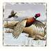 Game Birds Tumbled Tile Trivet