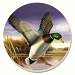 Water Birds Mallard Coasters Set of 4