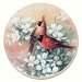 Cardinals Coasters Set of 4
