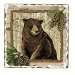 Forest Trails Tumbled Tile Coasters Set of 4