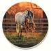 Quiet Time Coasters Set of 4