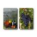 Double Deck Wine Trivia Playing Cards