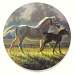Brand New Hope Coasters Set of 4