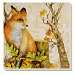 Forest Fox Coasters Set of 4