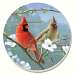 Beautiful Songbirds Cardinals Coasters Set of 4
