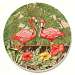 Tropical Flamingos Coasters Set of 4