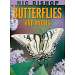 Nic Bishop Butterflies and Moths Book