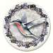 Hummingbird Coasters Set of 4
