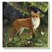 Morninig Light Fox Coasters Set of 4