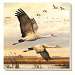 Sandhill Cranes Coasters Set of 4