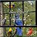 Backyard Birds II CD