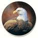 Eagles Coasters Set of 4