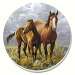 Horses Horse Pair Coaster Set of 4