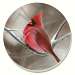 Winter Cardinal Coasters Set of 4