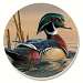 Water Birds Wood Duck Coasters Set of 4