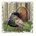 Game BirdsTurkey Tumbled Tile Coasters Set of 4