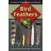 Bird Feathers Guide