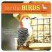 For The Birds A Month-by-Month Guide to Attracting Birds To Your Backyard