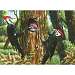 Pileated Woodpeckers 1000 piece Puzzle