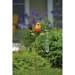 Bird Rain Gauge Spice