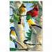 Favorite Songbirds Eco Notes