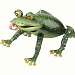 Bullfrog Decor
