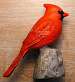 Cardinal Table Piece