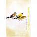 Goldfinch Eco Notes
