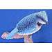 Blue Jay 5 inch with Branch