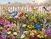 Birds of Summer 550 piece Puzzle