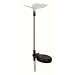 Color Changing Solar Stake